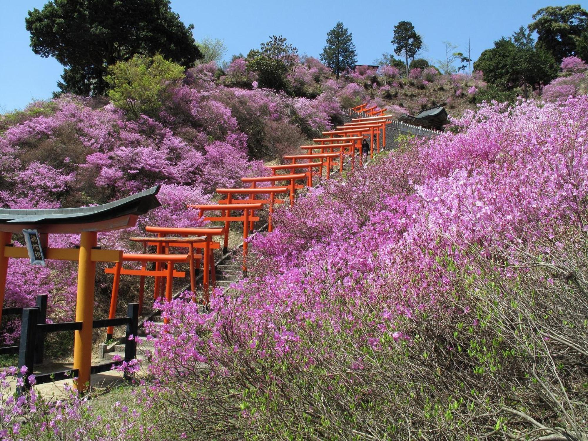 Mercure Kyoto Miyazu Resort & Spa Екстер'єр фото